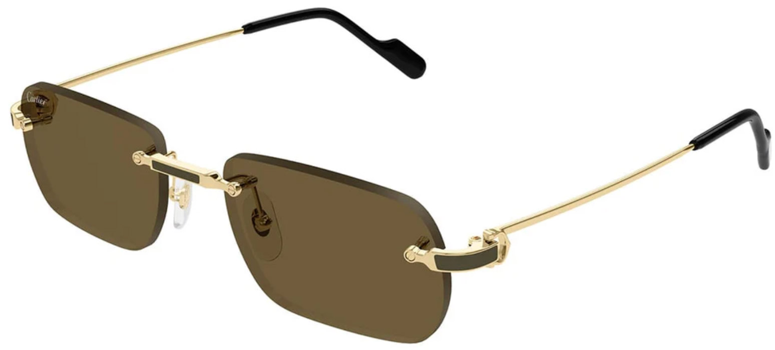 Cartier CT0498S gold 005