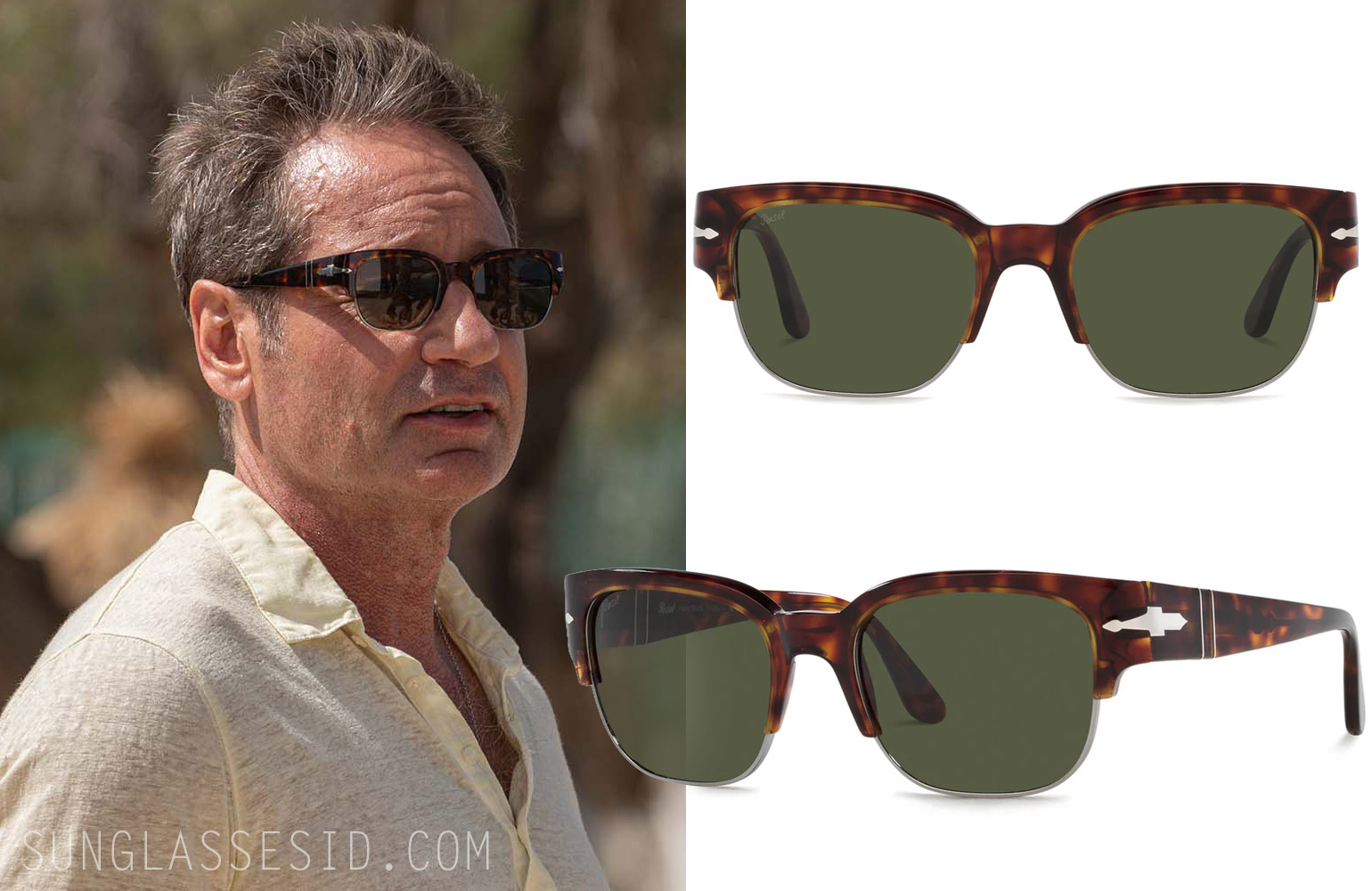Sunglasses worn by David Duchovny as Jamie Tanner