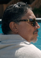 Carlos Bardem wears Persol PO3313S sunglasses in the movie In The Grey.
