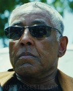 Giancarlo Esposito wears Veda Tinda Vision sunglasses in the 2025 Marvel movie Captain America: Brave New World.