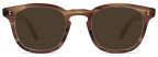 Garrett Leight Ace II (Sequoia Tortoise frame)