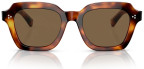 Oliver Peoples OV5526SU Kienna 100773