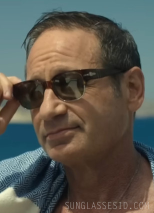 David Duchovny wears Persol PO3319S sunglasses in Malice.